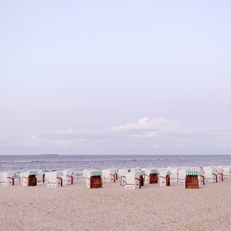 Natur auf Usedom